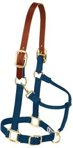Vista 13 de Weaver Equine Breakaway Horse Halter, Supple Leather Crown, Adjustable Brass Throat Snap Halters for Horses, Equine Tack