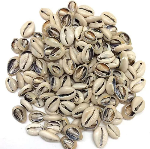 Vista 2 de 100 cuentas de conchas de cauri naturales blancas y Lvory ovaladas para playa, conchas africanas para hacer joyas para el cabello, manualidades