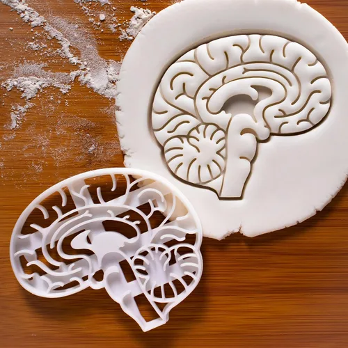Vista 2 de Cortador de galletas anatómico Brain, 1 pieza - Bakerlogy