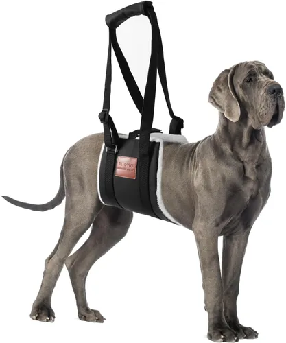 Vista 12 de Arnés de elevación ajustable para perros, honda grande de la ayuda Negro