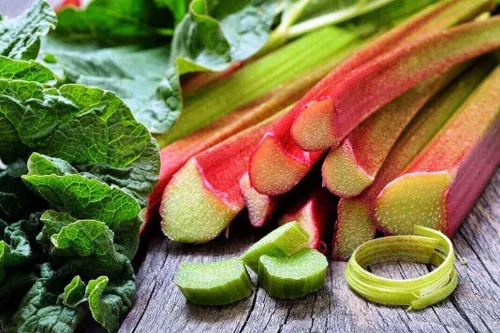 Vista 4 de Dulce ruibarbo Victoria 35 días de herencia vegetal sin OMG para plantar