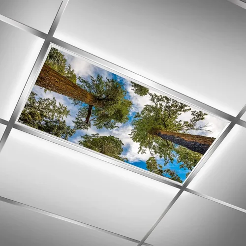 Vista 14 de Cubiertas de luz fluorescente para luces de techo de aula – Película retroiluminada de 2x4 pies para luminarias fluorescentes, fácil de instalar