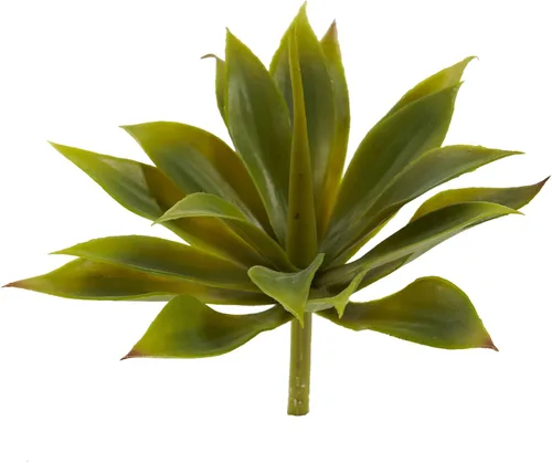 Vista 2 de Nearly Natural 6110-S12 Planta suculenta de agave, mini, juego de 12