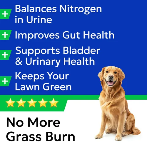 Vista 3 de BARK&SPARK Green Grass - Masticables para perros – Neutralizador de orina y orina para césped, mastica quemaduras de hierba con probióticos y Verde