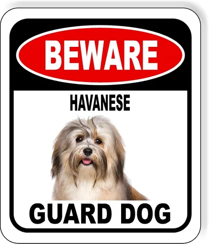 Vista 108 de BEWARE BASSETT HOUND GUARD DOG - Letrero compuesto de aluminio para exteriores, 8.5 x 10 pulgadas CUIDADO BASSETT HOUND GUARD PERRO