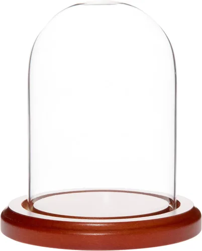 Vista 11 de Plymor campana protectora de cristal para exhibición, de 3 x 4 pulgadas, abovedada