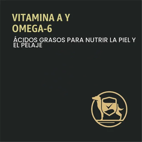 Vista 7 de Purina Pro Plan Comida para perros mayores con probióticos para perros, fórmula Bright Mind 7+ de pollo y arroz, bolsa de 16 libras