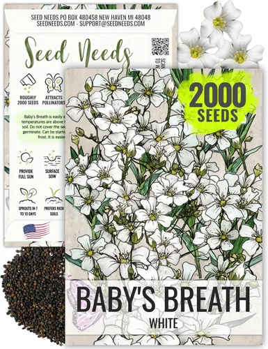 Vista 11 de Seed Needs Semillas de aliento de bebé rosa para plantar flores anuales, 1 paquete