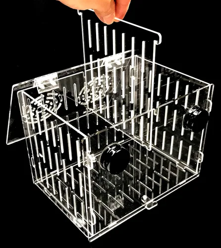 Vista 5 de Pequeña caja magnética de aclimatación criador anémona coral fuerte N52 imanes para vidrio de 1/2" (cubo de 4.5")