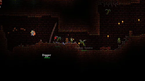 Vista 5 de Terraria - Wii U
