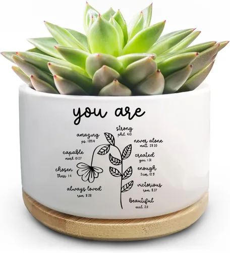 Vista 10 de Maceta Divertida para Plantas Suculentas, Maceta Pequeña para Plantas de Interior, Lindas Macetas de Cerámica para Cactus con Drenaje, Decoración