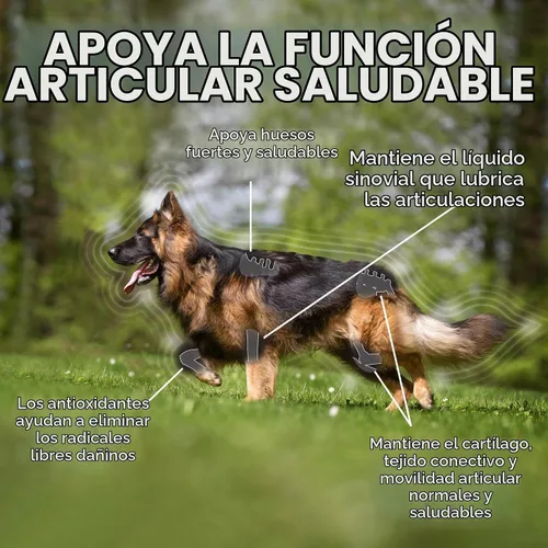 Vista 3 de Suplemento avanzado para caderas y articulaciones de perro Vet's Best, 90 comprimidos masticables