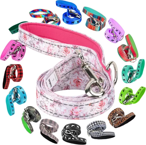 Vista 47 de EcoBark Correa para Perro - Correas Cómodas y Reflectantes con Asa Acolchada - Fuerte y Duradera de Alta Resistencia - Entrenamiento y Tiro