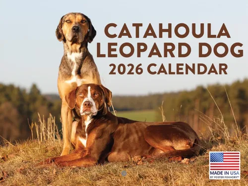 Vista 206 de Calendario mensual de pared Airedale Terrier Dog 2027 rojo (Airedale Terrier)