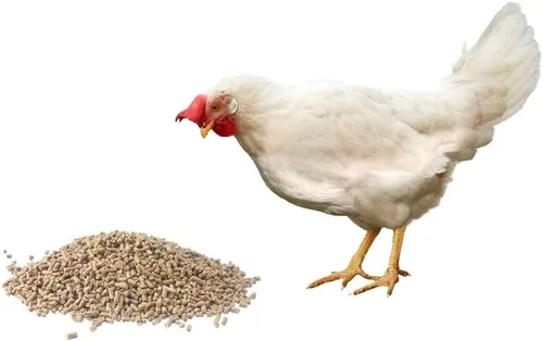 Vista 2 de CZ Grain Alimento prémium para carnes - Formulado para alta energía y crecimiento corporal (10 libras)