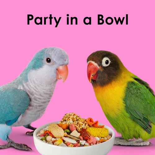 Vista 11 de Kaytee Fiesta Big Bites Small Parrot & Conure - Alimento nutritivo y divertido, apoya la piel, las plumas, la digestión, la salud del cerebro