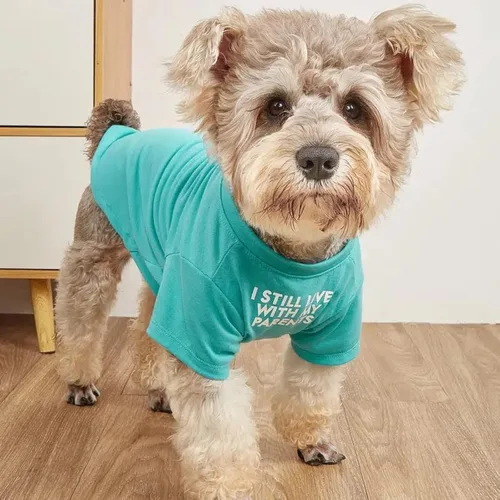 Vista 6 de Ropa linda para perro, camiseta para perros medianos y pequeños, niña y niño, cachorro. Disfraz suave y transpirable para mascotas, perros, gatos