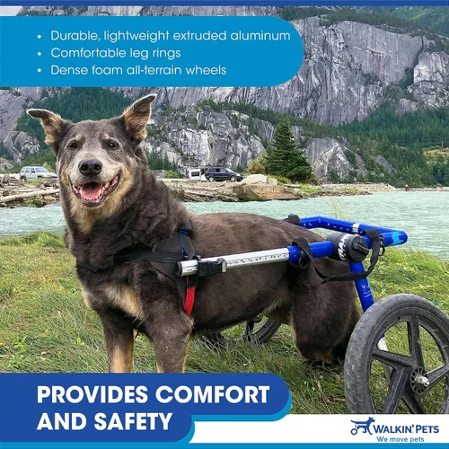 Vista 7 de Silla de ruedas de perro para perros pequeños, 26 a 69 libras, de Walkin' Wheels, 5, Azul