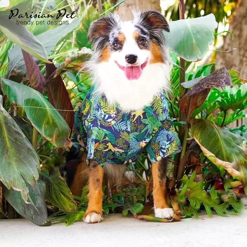 Vista 4 de Parisian Pet Camisa para perro de Amazonia - Ropa de algodón para perros pequeños - Elegante traje tropical para perros - Ropa ligera y suave