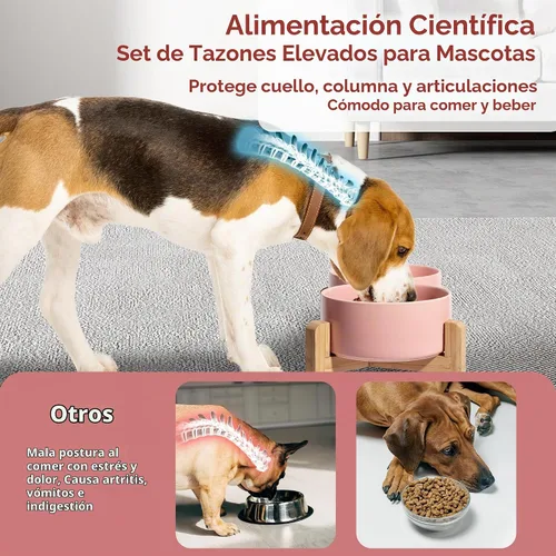 Vista 4 de Tazón elevado de cerámica para perros, 3.6 tazas de comida y agua para Rosa