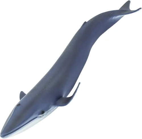 Vista 6 de Safari Ltd. Figura de ballena azul, figura detallada de plástico de 11 pulgadas, divertido juguete educativo para niños, niñas y niños a partir de 3