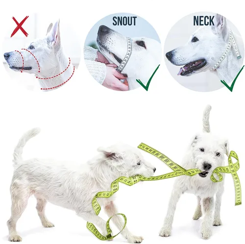 Vista 7 de GoodBoy Cabestro de cabeza de perro con correa de seguridad – Detiene los tirones pesados de la correa – Collar acolchado para perros pequeños