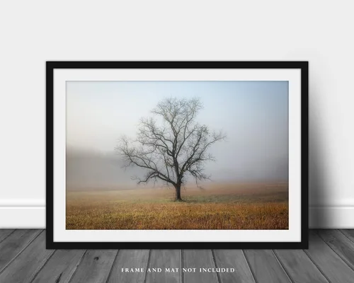 Vista 3 de Impresión de fotografía de naturaleza (no enmarcada), imagen de árbol envuelto en la niebla en la mañana de otoño en grandes montañas ahumadas