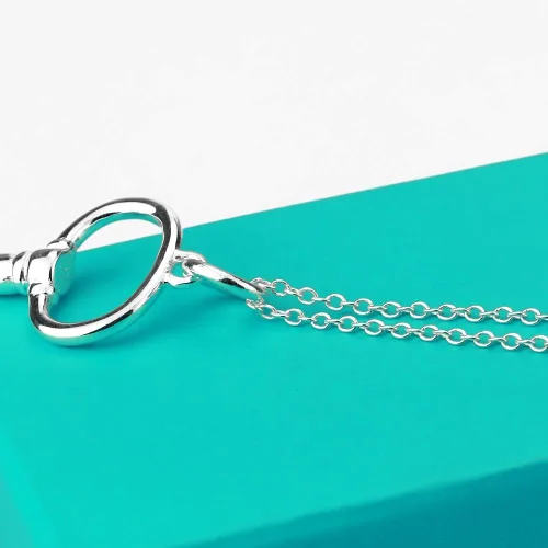 Vista 6 de Dankadi Clásico femenino original collar de plata 925 colgante de llave collar minimalismo 17.7-23.6 in cadena serpiente joyería broche de pinza