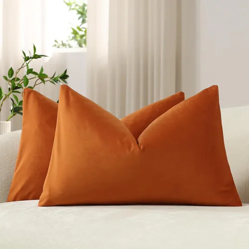 Vista 36 de Fundas de almohada de 16 x 16 pulgadas, color beige: paquete de 2 fundas de almohada decorativas de terciopelo suave y acogedoras para sofá, sala