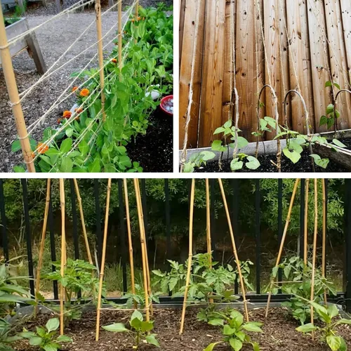 Vista 4 de Cambaverd Cuerda de yute natural de 200 pies, 0.118 in, 4 capas, cuerda para plantas trepadoras, jardinería, manualidades, regalos, envoltura