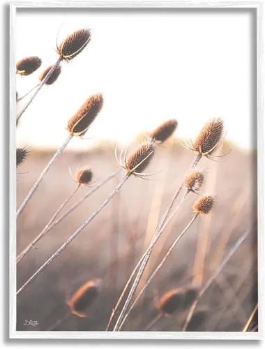 Vista 10 de Stupell Industries Brotes de plantas tranquilas brotes de hierba de prado, diseño de Donnie Quillen Stupell Industries Gray, 11 x 14 Inches