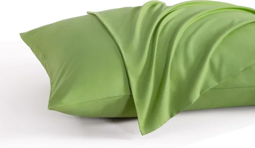 Vista 21 de NTBAY Juego de 2 fundas de almohada estándar, paquete de 2 fundas de almohada de microfibra cepillada de 20x26, suaves, resistentes a las arrugas, a