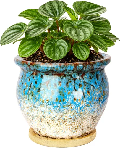 Vista 11 de ARTKETTY Macetas de 4.5 pulgadas con drenaje, pequeñas macetas de cerámica para plantas de interior Rojo