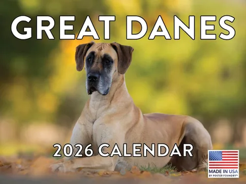 Vista 78 de Calendario mensual de pared Airedale Terrier Dog 2027
