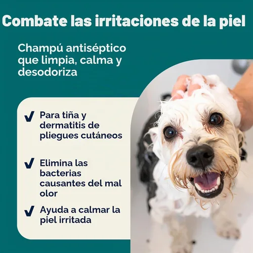 Vista 3 de Vetnique Dermabliss Champú medicado para gatos y perros, clorhexidina