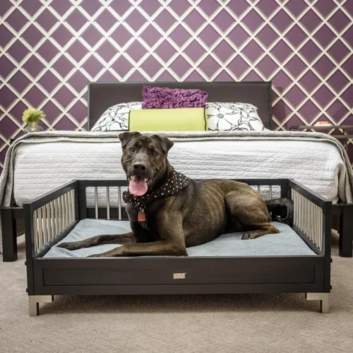Vista 2 de New Age Pet ecoFLEX Manhattan - Cama elevada para perro con cojín extraíble, XL, color espresso