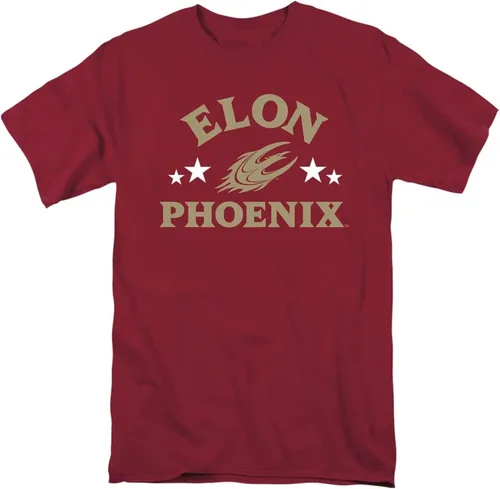 Vista 121 de Collegiate Distressed Mascot Unisex Adult T Shirt Collection 3 Universidad de Adelphi