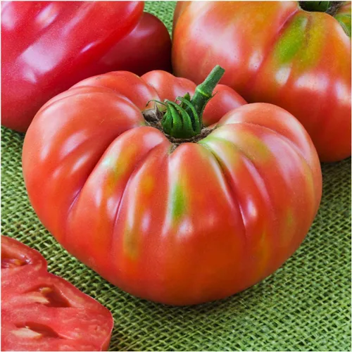 Vista 2 de Seed Needs Semillas de tomate alemán Johnson para plantar reliquia y sin OMG, 1 paquete
