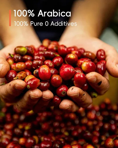 Vista 5 de Rami Coffee Café en polvo instantáneo liofilizado en frío, tostado medio oscuro, 100% arábica, 6 paquetes individuales portátiles para el hogar