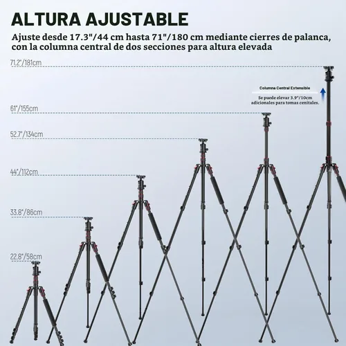 Vista 3 de NEEWER Basics - Trípode para cámara, 71 pulgadas, de aluminio, resistente, portátil, para viajes, DSLR, soporte para teléfono celular con cabeza