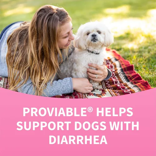 Vista 11 de Nutramax Proviable Probióticos para Perros, Kit de Apoyo para la Diarrea, Suplemento para la Salud Digestiva con Múltiples Cepas de Bacterias, Más