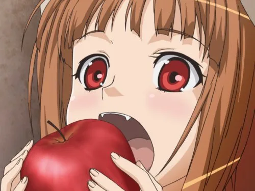 Vista 9 de Ookami a koushinryou Boku a Horo no ichinen importado de Japón