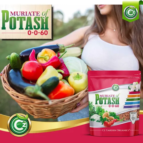 Vista 5 de Muriate de potasa 0-0-60 fertilizante fabricado en EE. UU. - MOP alimento potásico para plantas y jardines de flores – ¡Promueve grandes flores!