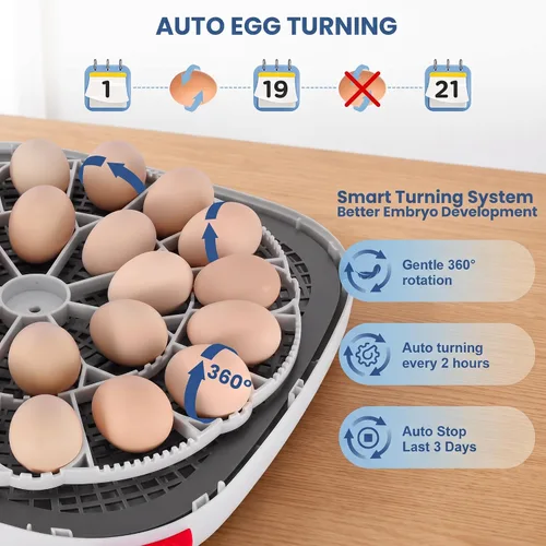 Vista 6 de Sailnovo 24 Egg Incubators for Hatching Eggs, 360° View with 4 Modes, Blue