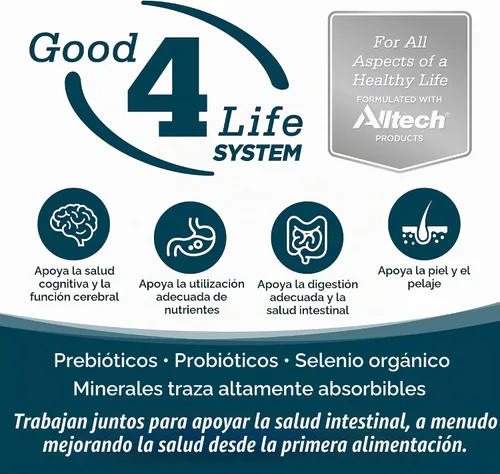 Vista 3 de NutriSource Alimento seco para perros adultos, bocados pequeños, pollo y arroz, 4 libras Soporte probiótico y prebiótico, grano inclusivo, sin