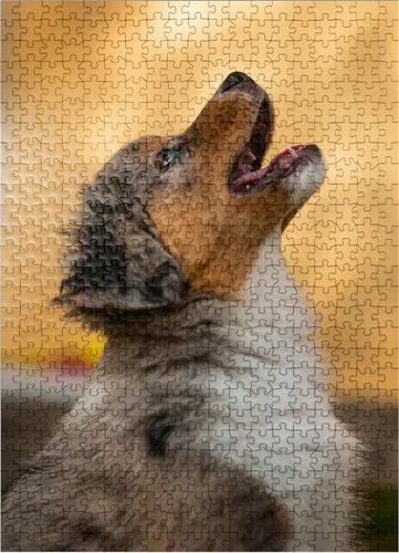 Vista 7 de MyPuzzle Aussi Puppy - Rompecabezas prémium de 100 piezas, fabricado en Estados Unidos