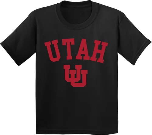 Vista 743 de NCAA Arch Logo, camiseta juvenil color del equipo, universidad - universidad