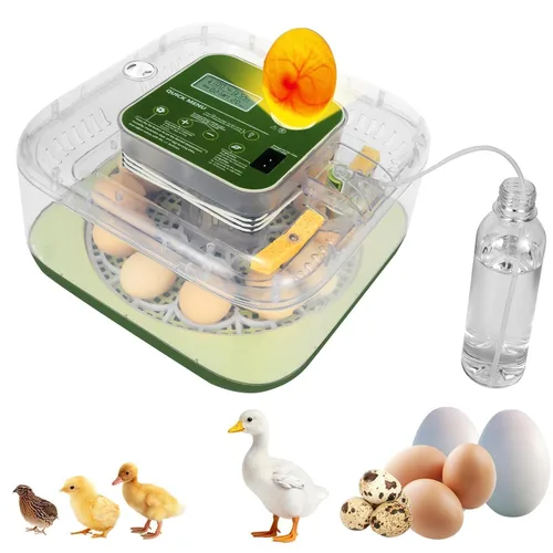 Vista 10 de Gen II - Incubadora automática de 12 huevos, humedad de dos etapas con recarga automática y control de temperatura estable, giro automático