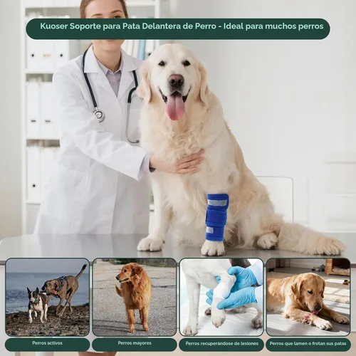 Vista 6 de Kuoser Soporte de pierna delantera para perro y protector de codo, codo ajustable para perro con tira reflectante, manga de compresión para piernas