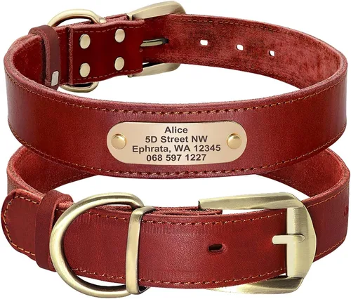 Vista 11 de Didog Collares de perro de cuero genuino con placa de identificación grabada, collar de perro de cuero suave personalizado con etiqueta de Verde